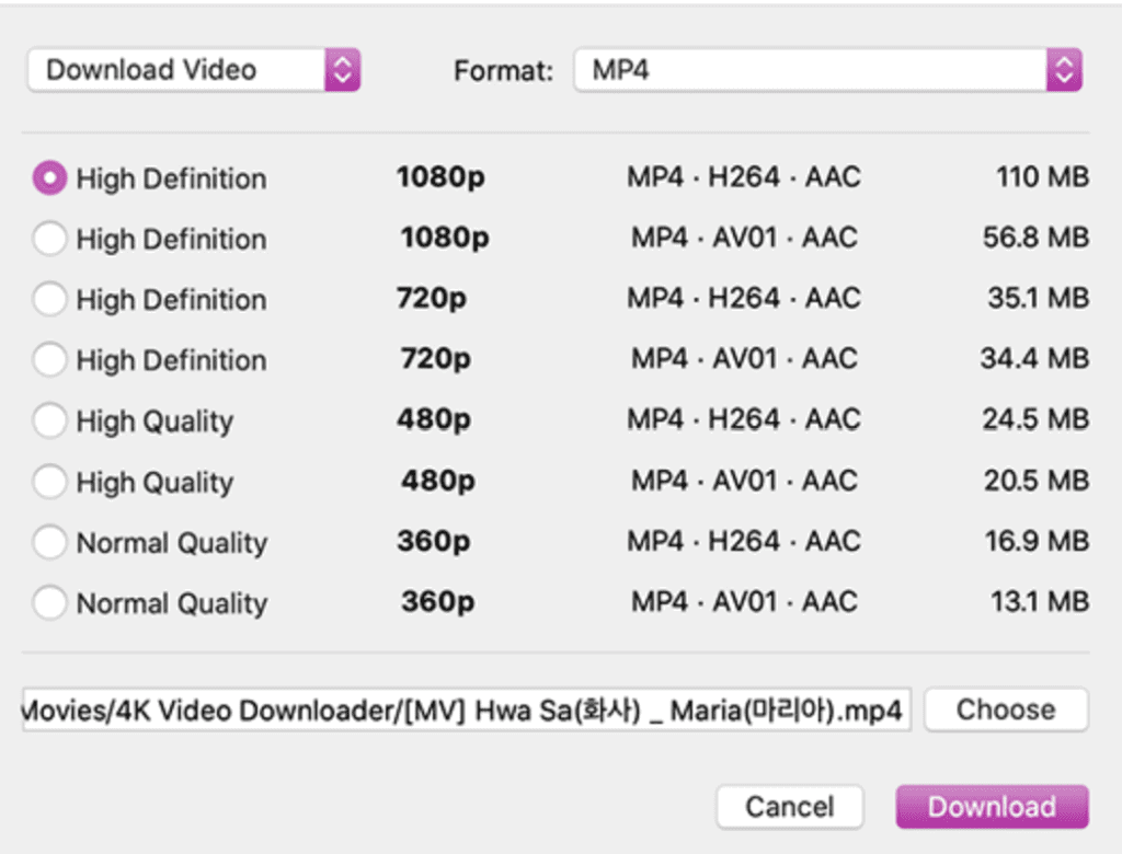 4K Video Downloader